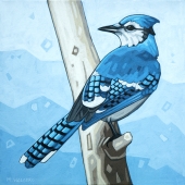 Blue-Jay-and-Blue-Sky_10x10_lo-res-1