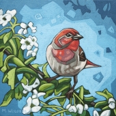 House-Finch-and-Blossoms_8x8_lo-res