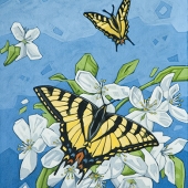 Tiger-Swallowtail-Butterflies_11x14_lo-res