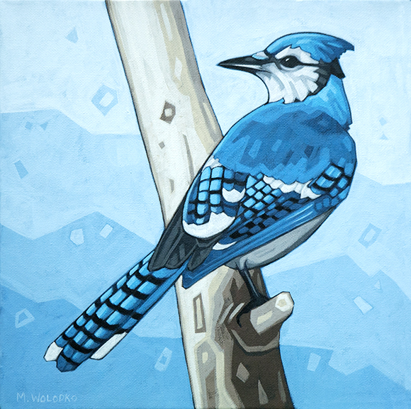 Blue-Jay-and-Blue-Sky_10x10_lo-res-1