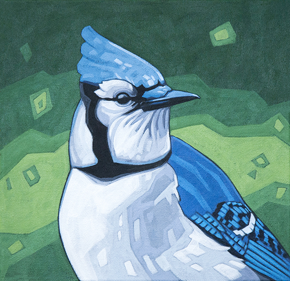 Blue-Jay_close-up_10x10_lo-res