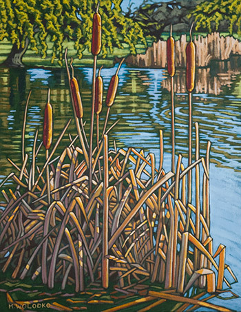Cattails-in-Jericho-Park