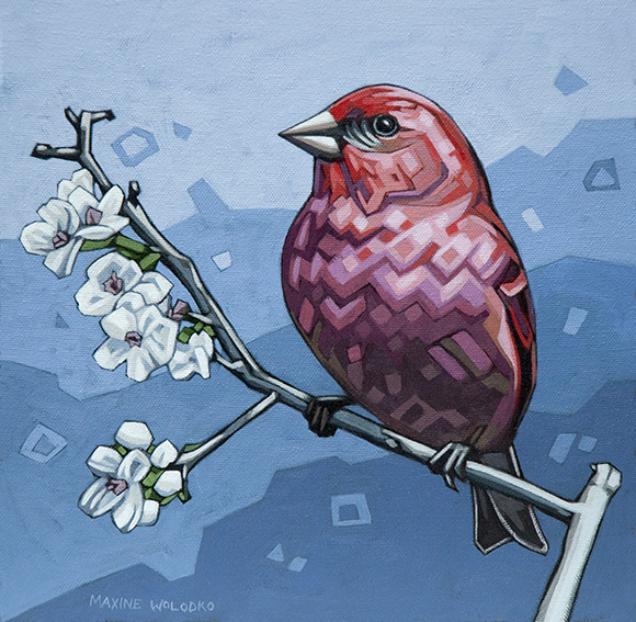 House-Finch_10x10_lo-res