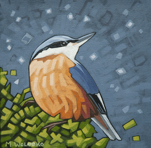 Red-Breasted Nuthatch 8"x8"