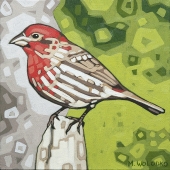 House-Finch 8"x8" (sold)