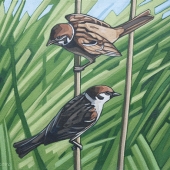 Sparrows-and-Reeds_14x11_lo-res-1