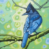 Stellers Jay 8"x8" (sold)