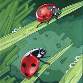 Two-Ladybugs_11x14_lo-res