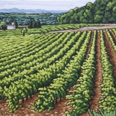 Vineyard at Mont Redon