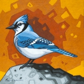 Autumn Blue Jay