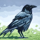 Crow in the Grass