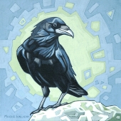 Curious Raven