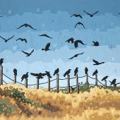 Field of Crows
