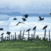 Flying into the Clouds