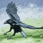 Landing Crow