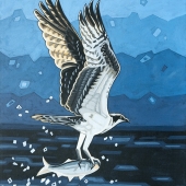 Osprey Fishing