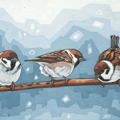 Sparrows in Winter