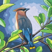 Waxwing and Leaves