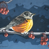 Winter Robin