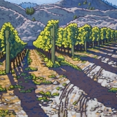 Vines at Road 13