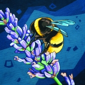 Bumblebee and Blossoms 