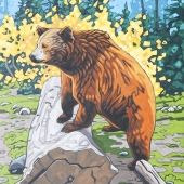 Grizzly in Autumn 