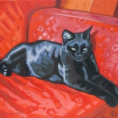 Red Couch and Black Cat