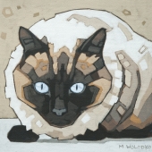 Siamese Cat