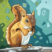 Squirrel