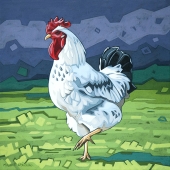 White Rooster